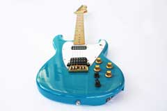 Blue Roland G-202