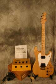 Roland G-202 Natural Finish