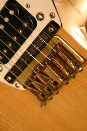 Roland G-202 Natural Finish