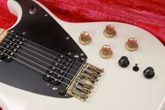 Roland G-202 White Finish