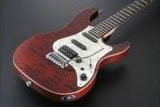 FGN Expert Series FGN Expert Series