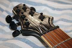 Switch Vibracell Wild IV Midi Roland ready Guitar